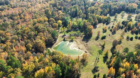 Land With Cabin For Sale In North Central Arkansas - image 40