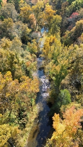 Land With Cabin For Sale In North Central Arkansas - image 41