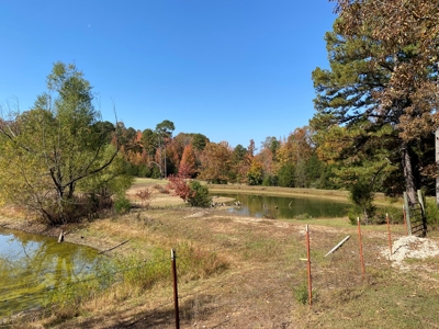Land With Cabin For Sale In North Central Arkansas - image 47