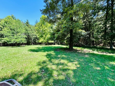 Land With Cabin For Sale In North Central Arkansas - image 26
