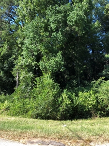 Wooded Oasis in City Limits But Country Feel - image 2