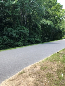 Wooded Oasis in City Limits But Country Feel - image 11