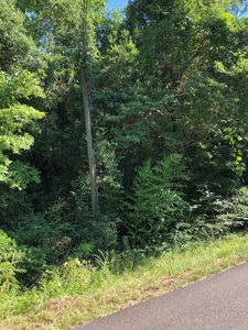 Wooded Oasis in City Limits But Country Feel - image 1