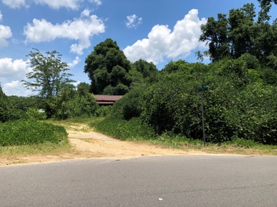 Wooded Oasis in City Limits But Country Feel - image 8