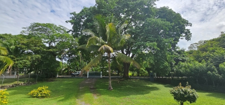 Stunning Property in Cabuya with pool and 6630 mt2 of land - image 3