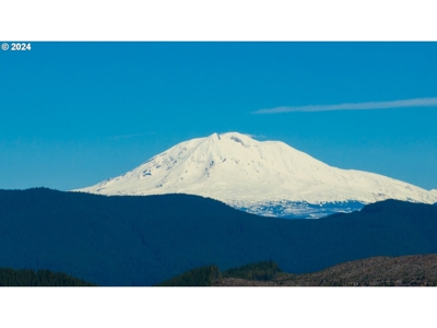 Log Cabin in Ariel, WA For Sale! - image 24