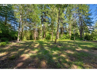 Log Cabin in Ariel, WA For Sale! - image 18