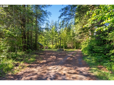 Log Cabin in Ariel, WA For Sale! - image 20