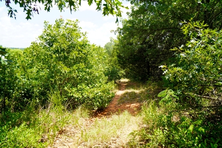 Recreational Hobby Farm For Sale, Chandler, Oklahoma - image 39