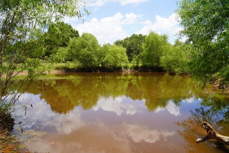 Recreational Hobby Farm For Sale, Chandler, Oklahoma - image 34