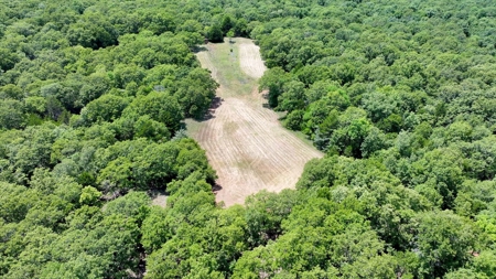 Recreational Hobby Farm For Sale, Chandler, Oklahoma - image 48