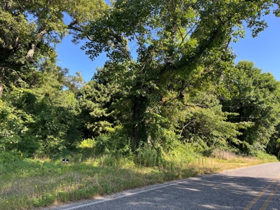 Old Field Pine Land for Sale W/ Utilities near Camden, AR - image 7