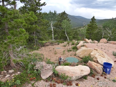 Amazing Views - image 3