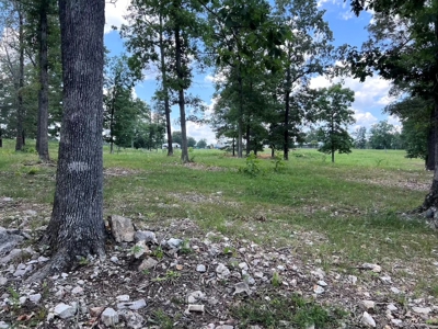 Multiple Home Property and Acreage Northern Arkansas - image 46
