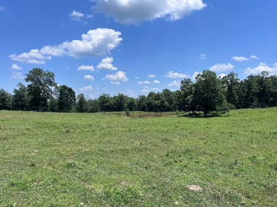 Multiple Home Property and Acreage Northern Arkansas - image 38