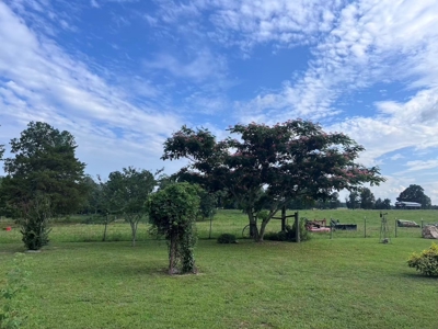Multiple Home Property and Acreage Northern Arkansas - image 24
