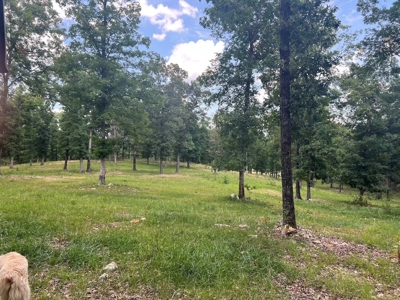 Multiple Home Property and Acreage Northern Arkansas - image 6