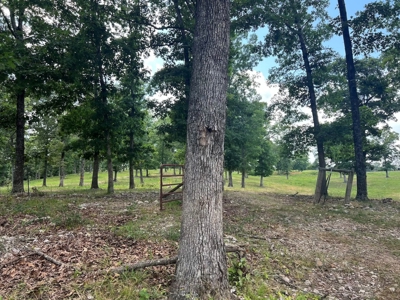 Multiple Home Property and Acreage Northern Arkansas - image 7