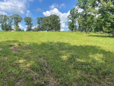 Multiple Home Property and Acreage Northern Arkansas - image 3