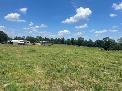 Multiple Home Property and Acreage Northern Arkansas - image 4