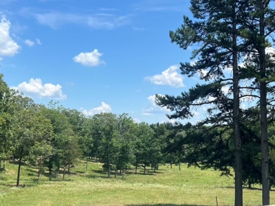 Multiple Home Property and Acreage Northern Arkansas - image 10