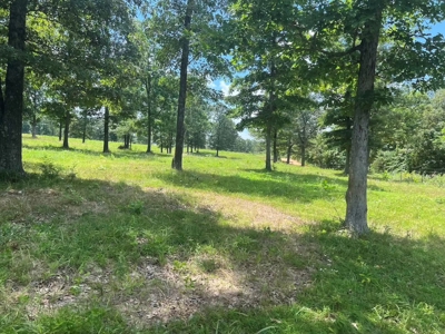 Multiple Home Property and Acreage Northern Arkansas - image 12