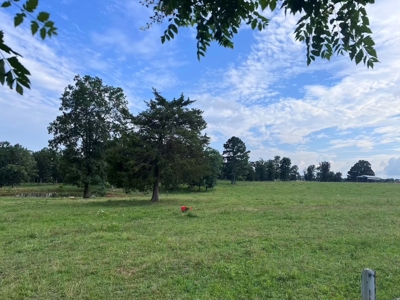 Multiple Home Property and Acreage Northern Arkansas - image 26