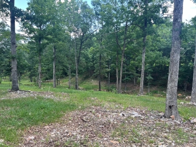 Multiple Home Property and Acreage Northern Arkansas - image 5