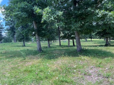 Multiple Home Property and Acreage Northern Arkansas - image 45