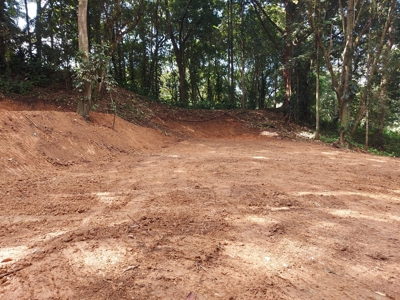 Affordable Jungle Lot for Sale, Bocas del Toro - image 4
