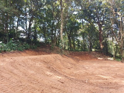 Affordable Jungle Lot for Sale, Bocas del Toro - image 2