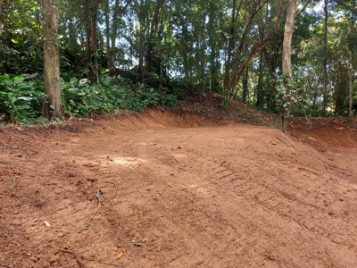 Affordable Jungle Lot for Sale, Bocas del Toro - image 3