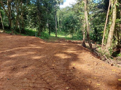 Affordable Jungle Lot for Sale, Bocas del Toro - image 1