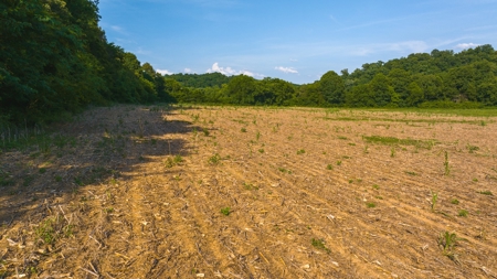 Prime Agricultural Property for Sale in East Tennessee - image 2
