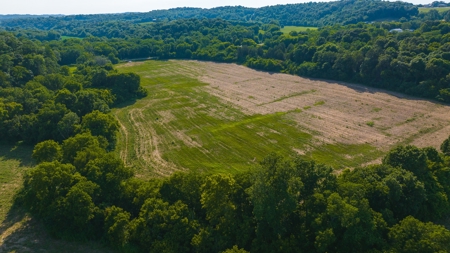 Prime Agricultural Property for Sale in East Tennessee - image 32