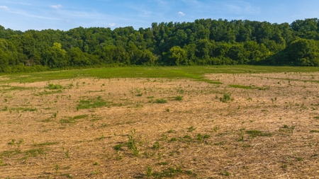 Prime Agricultural Property for Sale in East Tennessee - image 15