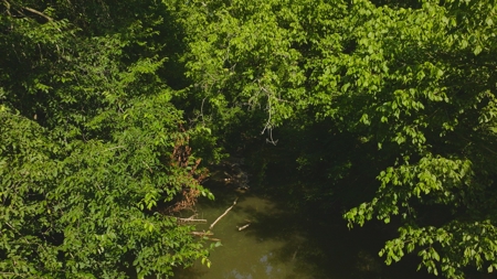 Prime Agricultural Property for Sale in East Tennessee - image 6