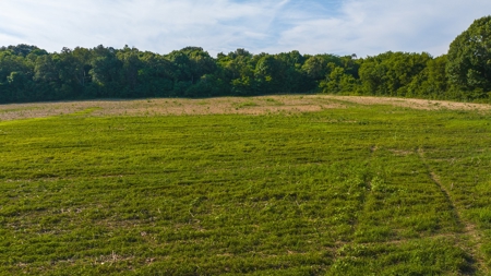 Prime Agricultural Property for Sale in East Tennessee - image 1