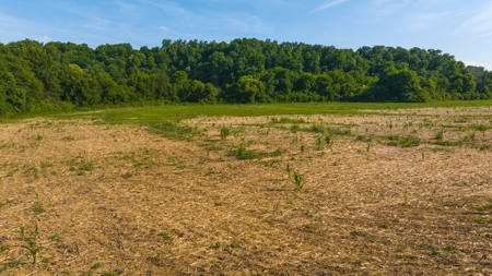 Prime Agricultural Property for Sale in East Tennessee - image 13