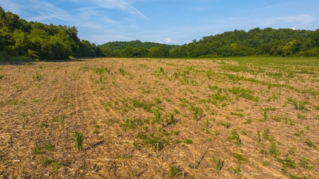 Prime Agricultural Property for Sale in East Tennessee - image 28