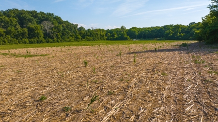 Prime Agricultural Property for Sale in East Tennessee - image 16