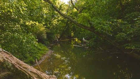 Prime Agricultural Property for Sale in East Tennessee - image 3