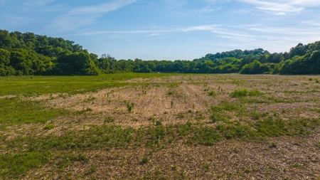 Prime Agricultural Property for Sale in East Tennessee - image 11