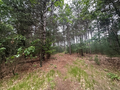 52 +/- Acres Located in Waushara County - image 19