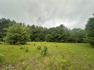 52 +/- Acres Located in Waushara County - image 23