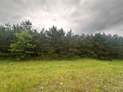 52 +/- Acres Located in Waushara County - image 18