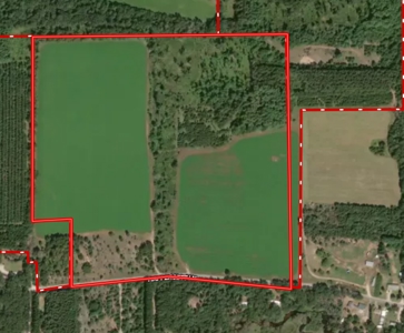 52 +/- Acres Located in Waushara County - image 8