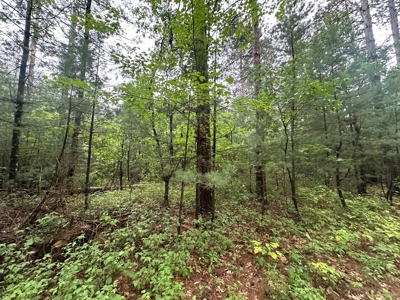 52 +/- Acres Located in Waushara County - image 25