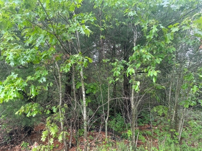 52 +/- Acres Located in Waushara County - image 15