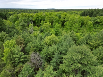 52 +/- Acres Located in Waushara County - image 13